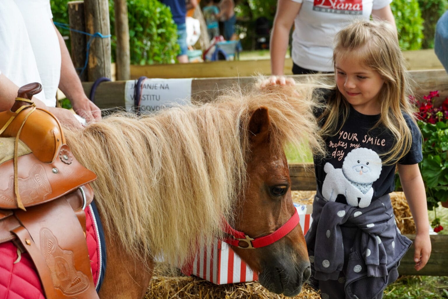 poni aqua fest